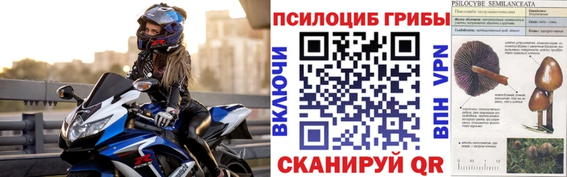 Галлюциногенные грибы Psilocybe Нариманов